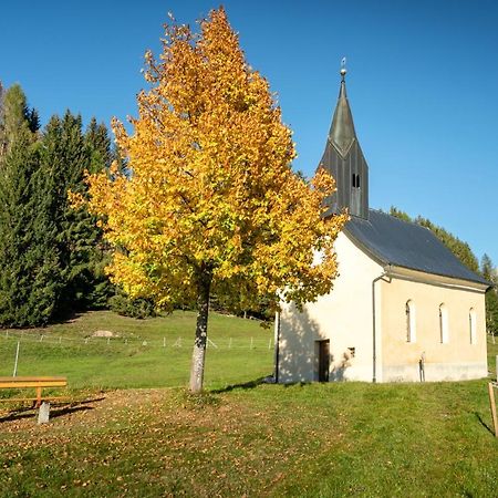Hauserhof Am Goldberg Dellach  Zewnętrze zdjęcie