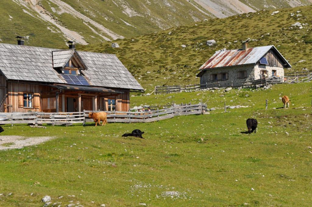 Hauserhof Am Goldberg Dellach  Zewnętrze zdjęcie